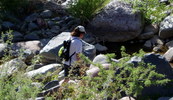 photo thumbnail #5