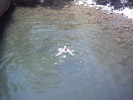 recent photo