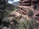 recent photo