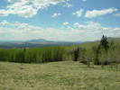 photo thumbnail #8
