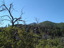 photo thumbnail #7