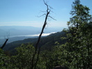 photo thumbnail #11