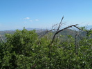 photo thumbnail #12