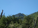 photo thumbnail #13