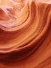 Featured Detail Photo