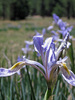 photo thumbnail #15