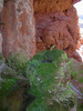 photo thumbnail #10