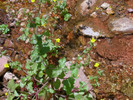 Featured Full Photo