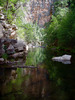 photo of comment