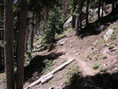 photo thumbnail #9