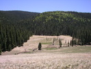 photo thumbnail #14