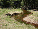 photo of comment