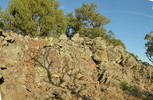 photo thumbnail #6