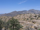 photo thumbnail #4