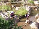 photo thumbnail #9