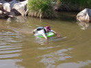 photo thumbnail #12