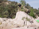 photo thumbnail #14