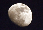 photo thumbnail #3