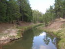 recent photo