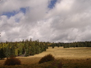 recent photo