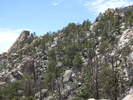 photo thumbnail #4