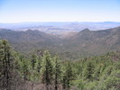 photo thumbnail #7