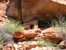 photo thumbnail #8