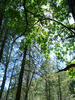 photo thumbnail #13