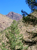 photo thumbnail #15