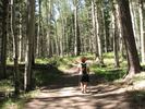 photo thumbnail #2