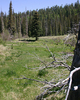 photo thumbnail #2