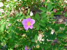 Featured Detail Photo