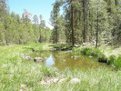 photo thumbnail #8