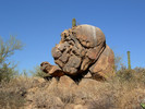 photo thumbnail #3