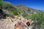 photo thumbnail #7