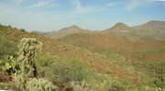 photo thumbnail #1