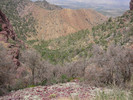 photo thumbnail #2