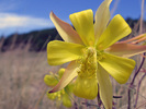 photo thumbnail #14