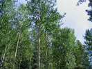 photo thumbnail #10