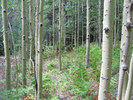 photo thumbnail #9