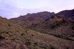 photo thumbnail #2