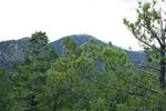 photo thumbnail #15