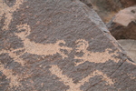 photo thumbnail #11