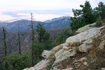 photo thumbnail #8