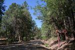 photo thumbnail #9