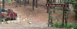 photo thumbnail #1