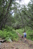 photo thumbnail #15