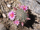 photo thumbnail #4