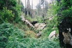 photo thumbnail #2