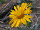 photo thumbnail #4